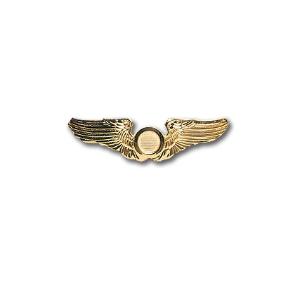 Creation of Go Fast Aviation: Step 1